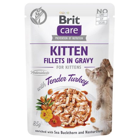 Brit care cat fillets in gravy kitten with tender turkey para gatos