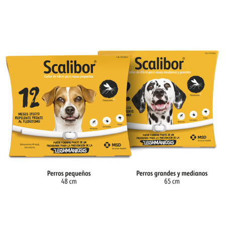 Scalibor Collar Antiparasitario para perros (12 Meses protección)