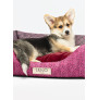 Perro modelo descansando en la cuna en Liu·Jo cuccia monogram color rose/animalier