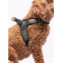 Vista detalle lateral de perro modelo con Liu·Jo arnés big monogram color military street