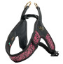 Liu·Jo Arnés Big monogram color Rosa/Animalier para perros grandes