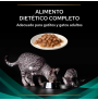Muestra de textura de Plan GastroIntestinal Sobres Salmón para gatos