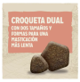 Tamaño y forma de los dos tipos de croqueta del pienso Dog chow active de pollo para perros activos