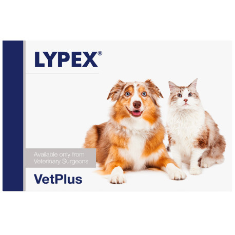 Lypex Enzimas pancreáticas para digestión en perros y gatos Lypex Enzimas pancreáticas para digestión en perros y gatos