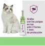 Pipeta contra Pulgas Vectra Felis Pipetas antiparasitarias para gatos Pipeta contra Pulgas Vectra Felis Pipetas antiparasitarias para gatos