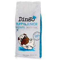 Dingo Puppy & Junior (cachorros)
