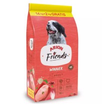 Arion Friends Dog WINNER