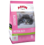 ARION CAT KITTEN