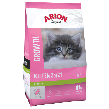 ARION CAT KITTEN