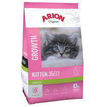ARION CAT KITTEN