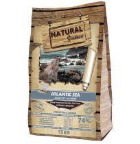 Natural Greatness Atlantic Sea