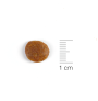 Tamaño de la croqueta de Natura diet cats adult salmon