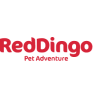 RED DINGO